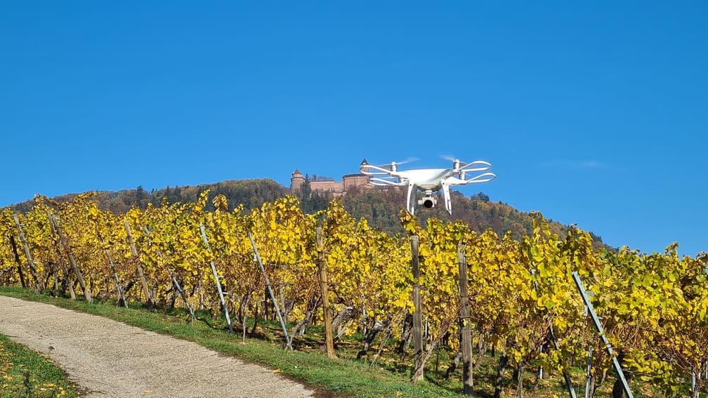 Vidéo de présentation d'entreprise et aérienne cataclaude - Domaine Kress Bleger vu par drone - Rodern, Haut-Koenigsbourg - Alsace