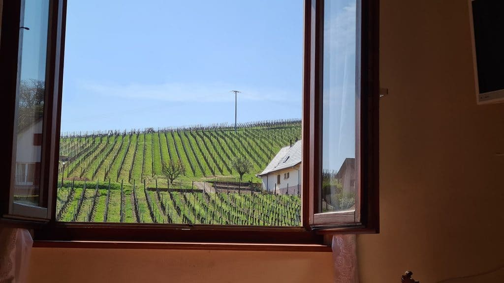 Chambres d'hôtes Kress Bleger avec une magnifique vue sur le vignoble de Rodern (68) preès de 67 Sélestat